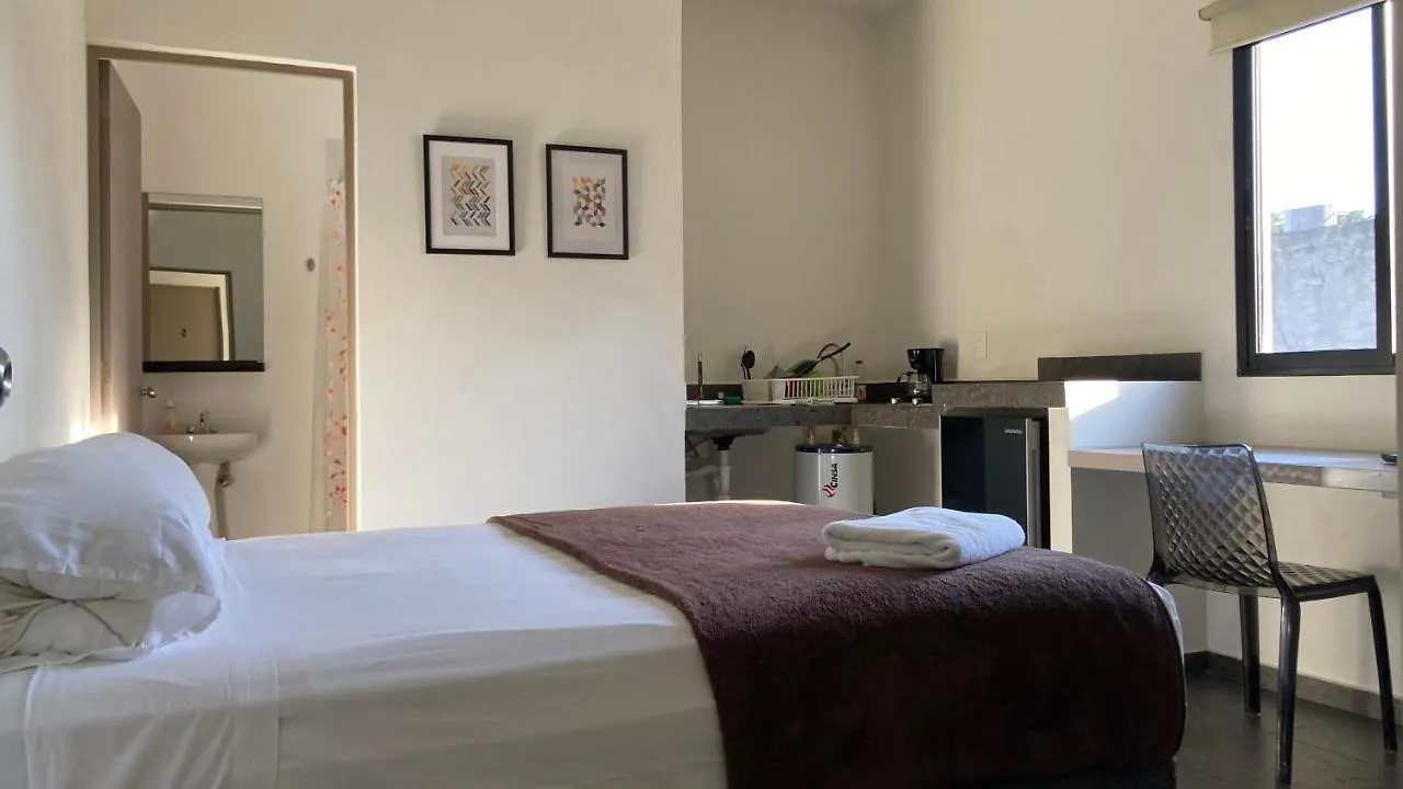 Lovely Studio In Cancun Downtown Close To Ado, Beaches And Hotel Zone, Super Fast Wifi 0*,  Mexico